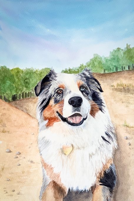 Souvenir d'animaux : Le berger australien vif et enjoué Aquarelle personnalisée, portrait sur commande d'un chien australien souriant, devant un paysage naturel, avec des arbres en arrière-plan.