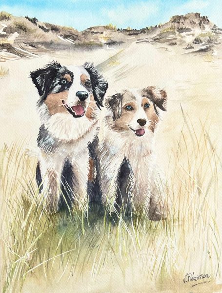 Art animalier : Les joyeux bergers américains miniatures Peinture aquarelle personnalisée de chien de berger se tient dans un champ herbeux sous un ciel bleu.